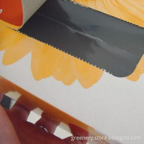 Tissue Box